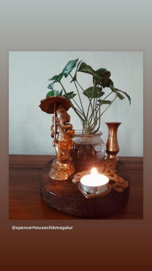 Willa Spencer House Chikmagalūr Zewnętrze zdjęcie